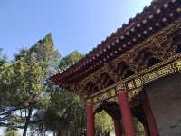 樊川八大寺之一