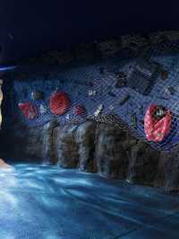 🌟 Sydney's Top Family-Friendly Attractions Unveiled 🌟