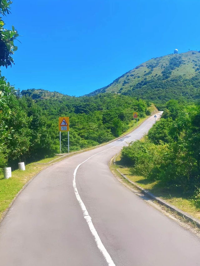 【香港大帽山】浪漫山谷綠意🏖️，城市中的宮崎駿漫畫夢幻景點！🌿🌄🌌