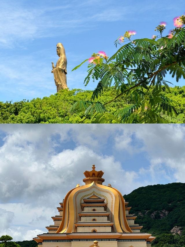 來普陀山玩吧，看看佛山水