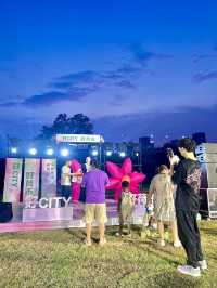 夏日浪漫荷花市集打卡攻略！city不city~