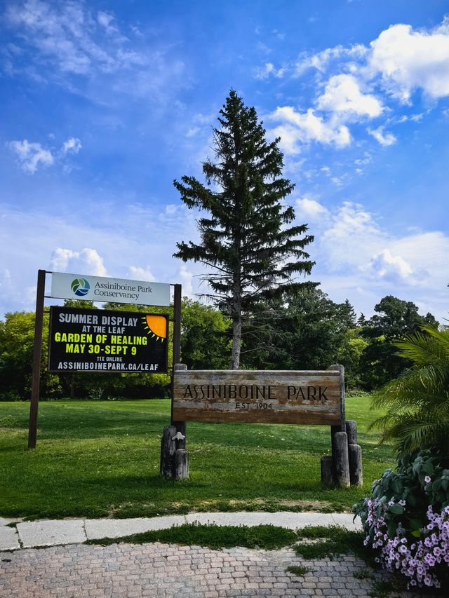阿西尼博因公園：在這裡可以看到胖嘟嘟的北極熊在你頭頂游泳打鬧