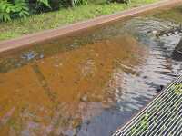 長春第三站 水生態園