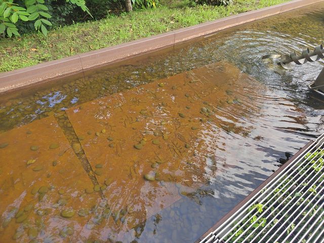 長春第三站 水生態園
