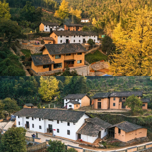 快來萬安這個寶藏勝地。