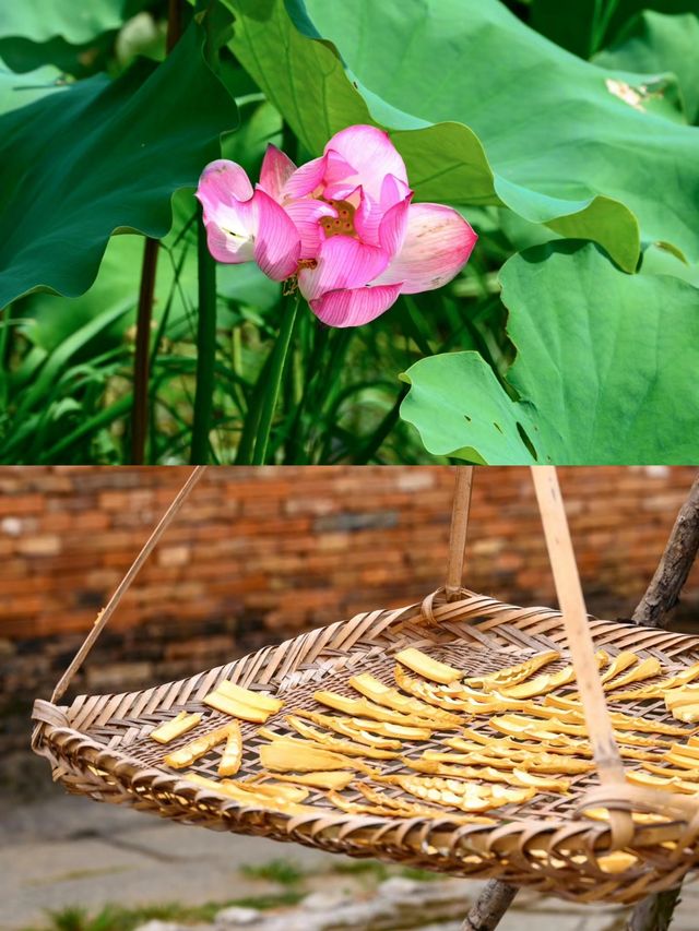 勾藍瑤村，隱匿於繁華外的世外桃源