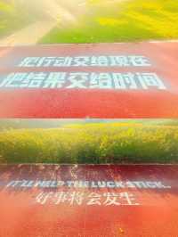 Get美美的威海。