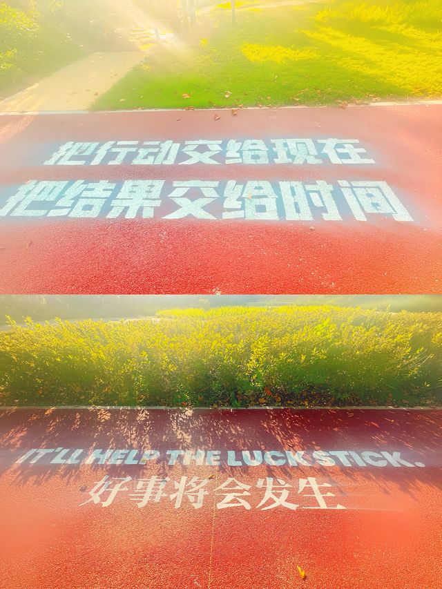 Get美美的威海。