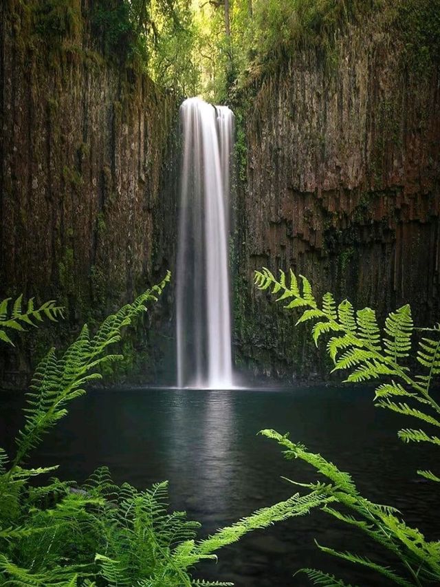  Elowah Falls in Multnomah is worth a visit🥰