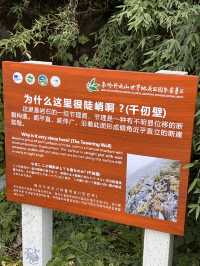 西安朱雀國家森林公園 大自然的地理課堚。