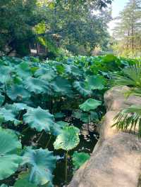 富樂山公園。