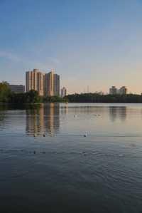 不用去大理！去有風的寶藏公園看日落吧。