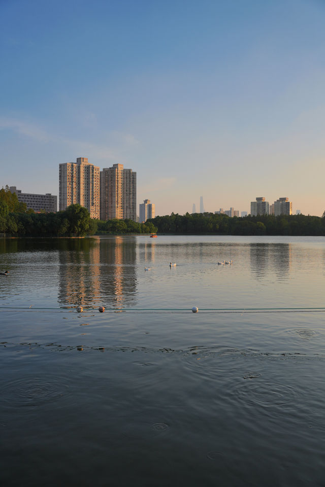 不用去大理！去有風的寶藏公園看日落吧。