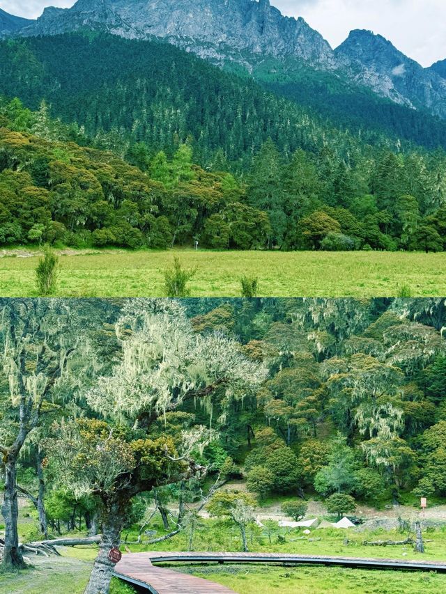 我鍾愛的川西小眾風景｜湖泊雪山太治癒。