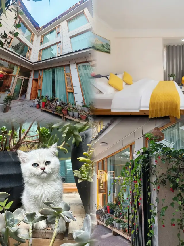 Encounter Lijiang | Ruoshui Riverside Luxury Homestay, a spiritual journey.