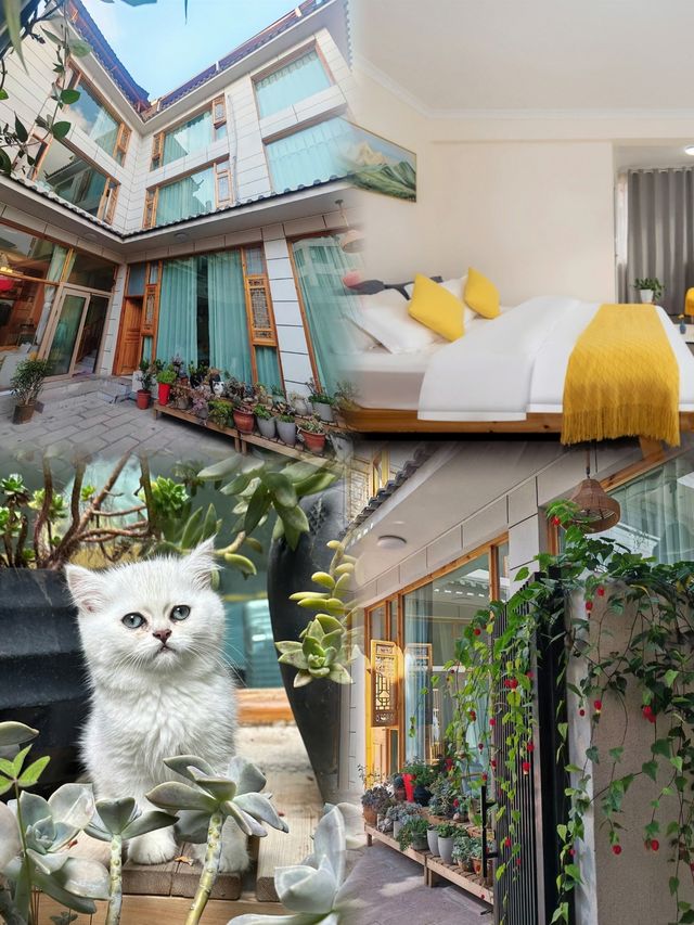 邂逅麗江 | 若水河畔 輕奢美宿客棧，一場心靈的棲息之旅。