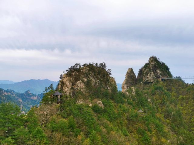 河南南陽西峽老界嶺｜一腳踏南北，一日攬華夏。