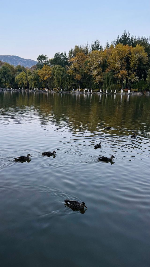 西寧市人民公園遊玩攻略 。
