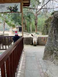 富陽｜看動物、玩樂園、觀演出、坐火車，一票全享。