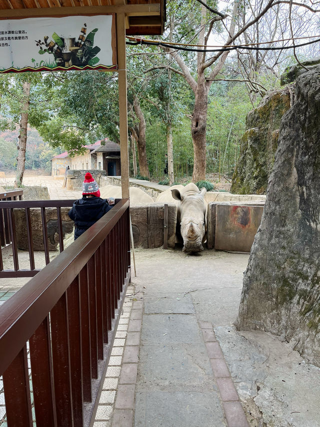 富陽｜看動物、玩樂園、觀演出、坐火車，一票全享。