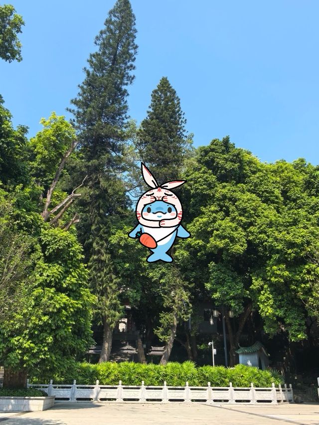 廣州玉岩書院|古書院的飄逸。