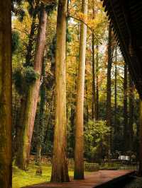 都江堰靈岩寺。