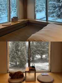 《國家地理》推介！四川西部雪山樹屋民宿。
