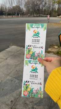 瀋陽世博園的秋色。
