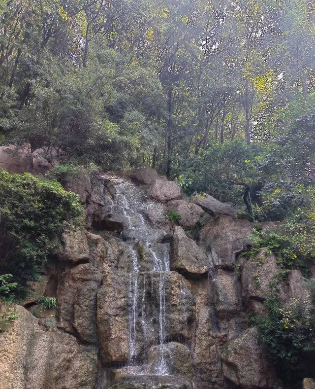 東莞旗峰公園秋日漫步一定要來這地方。