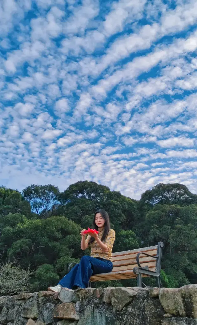 Hiking, stargazing, camellia viewing, and spring water collection are all available here. 