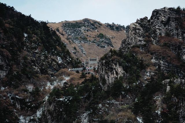 陝西牛背梁國家森林公園|天然的基因寶庫。