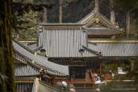 Exploring the Architectural Marvel of Nikko Toshogu Shrine