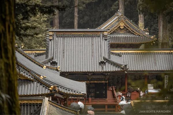Exploring the Architectural Marvel of Nikko Toshogu Shrine