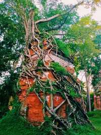 Prasat Pram: In The Possession of Jungle