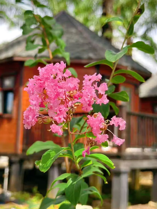 菠蘿的海·度假別墅 | 田園詩畫中的夢幻居停 。