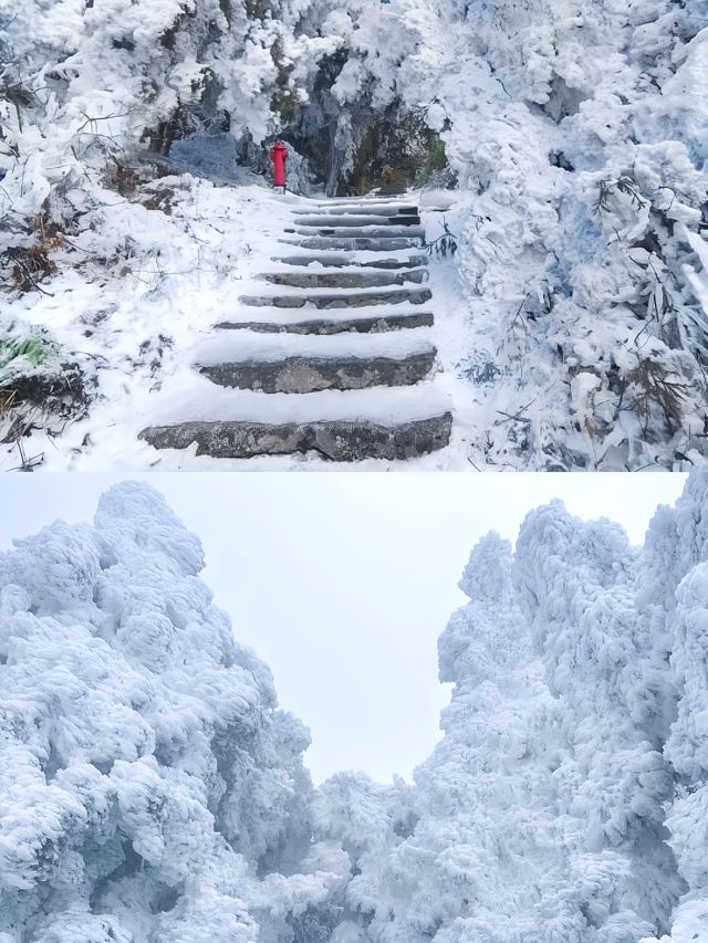 不是哈爾濱去不起，是南嶽衡山更有性價比。