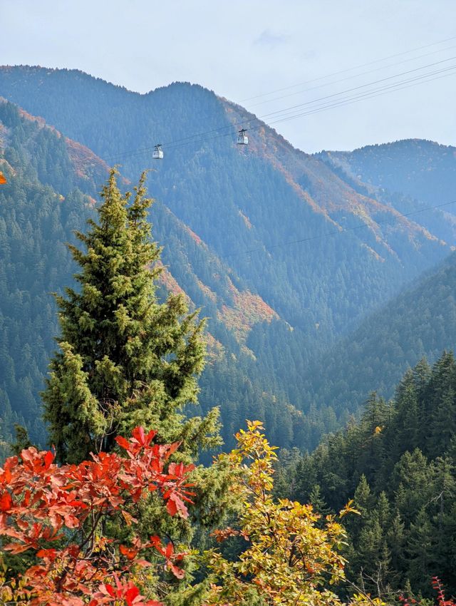 隴右名山蘭州興隆山 | 邂逅醉美秋色。