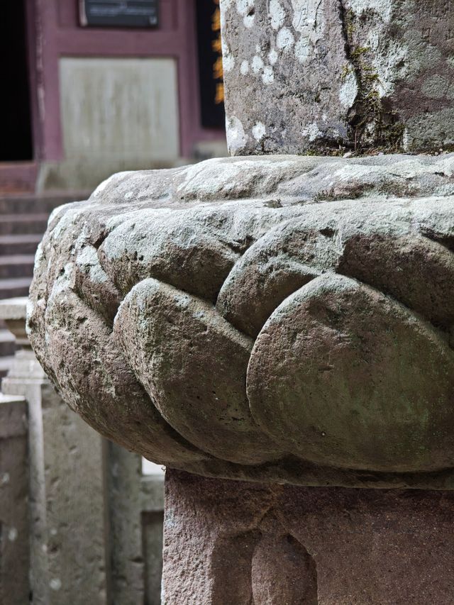 此行為你而來～1批次國保保國寺。
