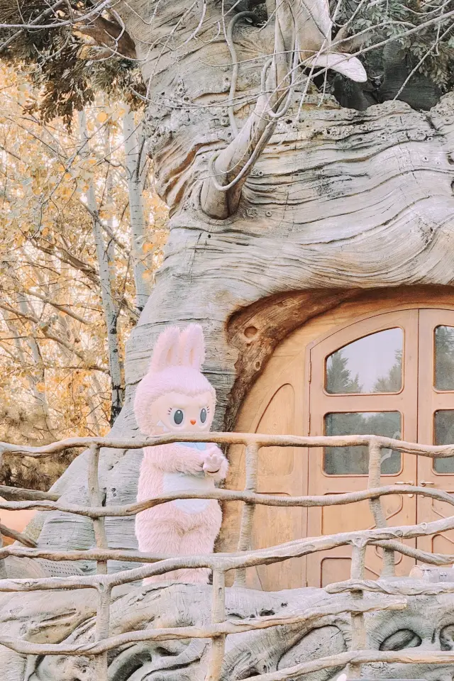 心願之旅終於完成啦!。