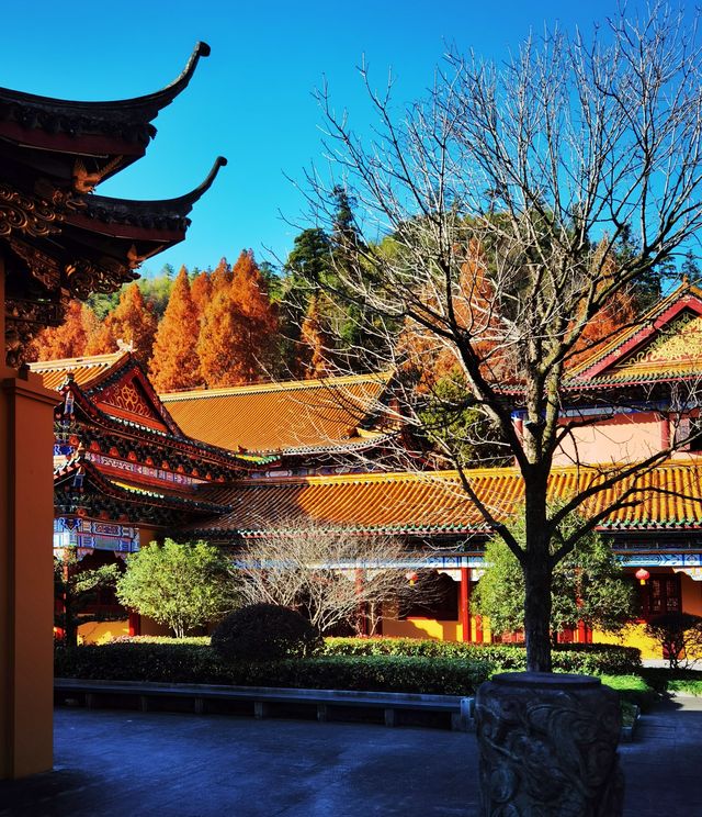 禪源寺。