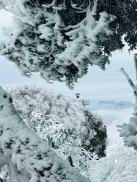 龍頭山又下雪啦天花板級別的冰雪世界！