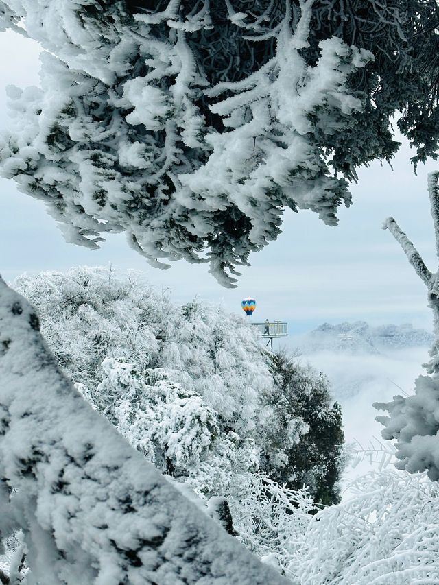 龍頭山又下雪啦天花板級別的冰雪世界！