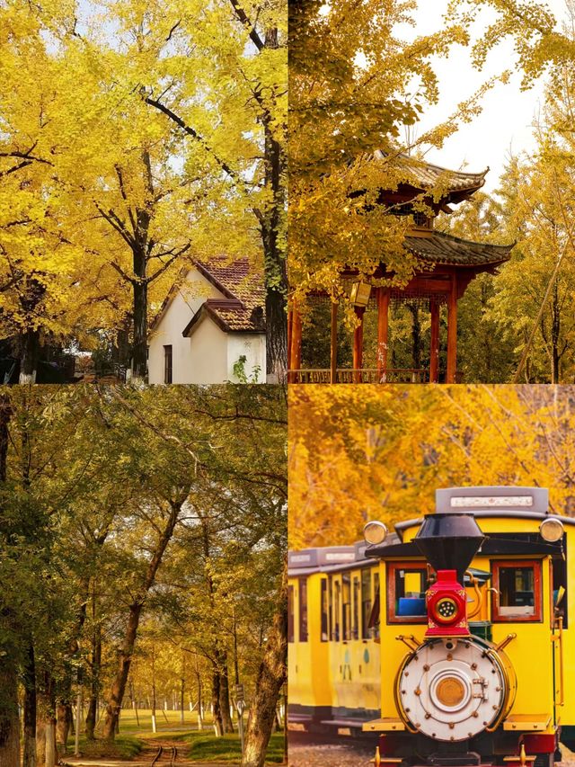 真沒去國外在浙江開往童話的列車 真沒去國外在浙江開往童話的列車