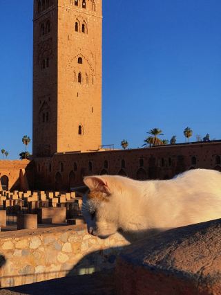13-Day Tour of Tunisia and More: Explore Multiple Countries