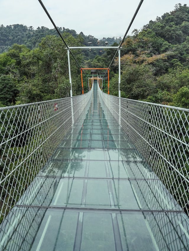 柳州不止螺螄粉，廣西山水永遠不會讓我失望