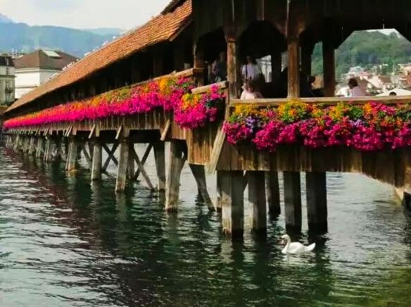 瑞士最受歡迎的旅遊城市之一~~盧森