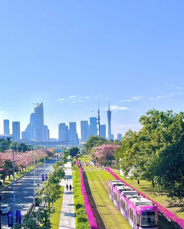 Guangzhou | Ride the Most Beautiful 7 km and Experience the Pink Romantic Train