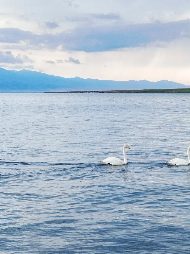 3-Day Itinerary for Northern Xinjiang and Yili: A Complete Guide