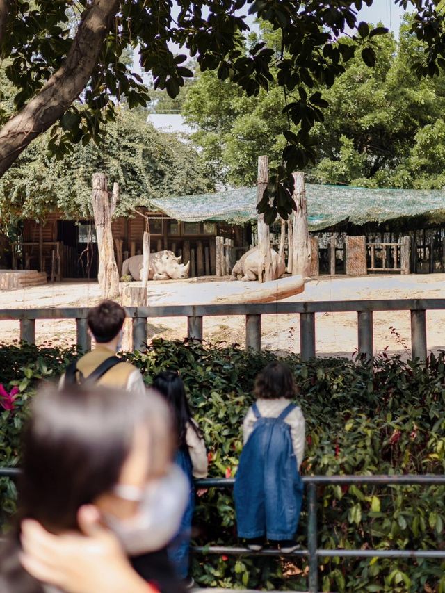 【廣州長隆】野生動物園兩日遊，與小動物親密接觸