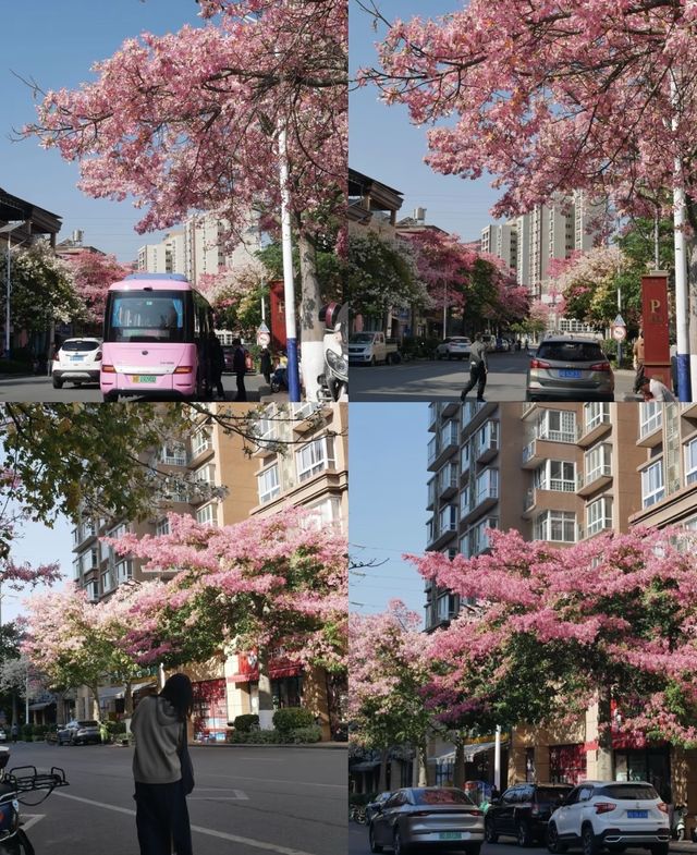 攀枝花的旅遊日記